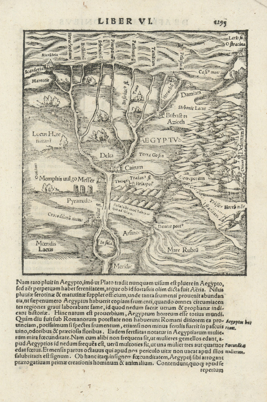 Aegyptus. Cairo, the Nile Delta & Egypt. SEBASTIAN MÜNSTER 1572 old map
